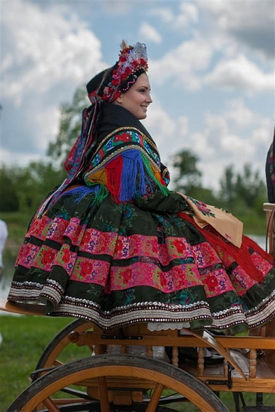 223.jpg
