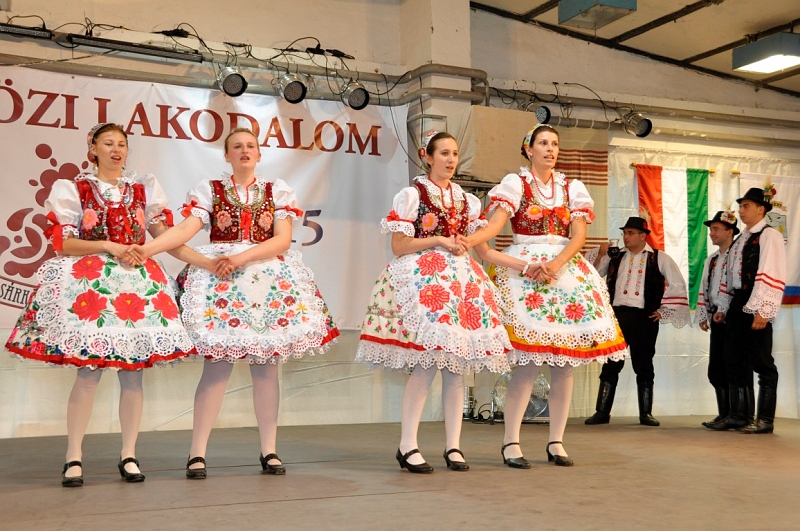 161.JPG