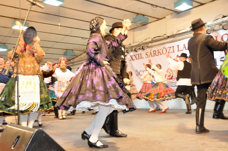 201.JPG